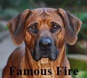 Fire-Head-klein