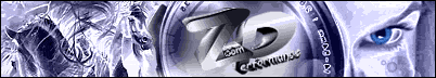 Zoom Performance