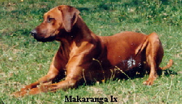 Makaranga Ix