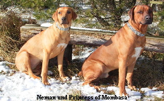 Neman & Princess of Mombasa