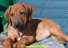 X-Treme of Mombasa