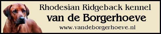 Kennel van de Borgerhoeve