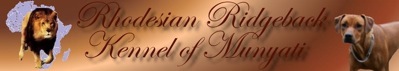 banner munyati