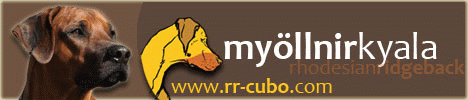 My�llnir Kyala - Cubo