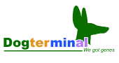 dogterminal