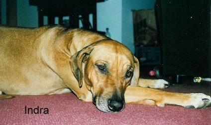 Indra